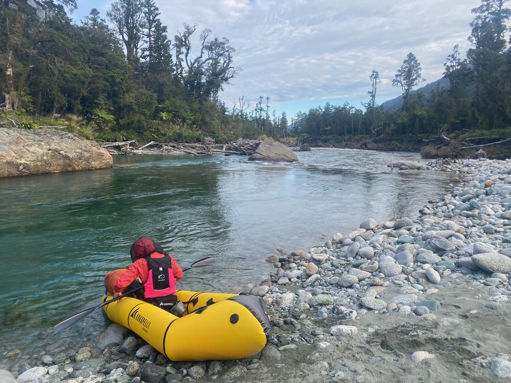 Trees from the get go.