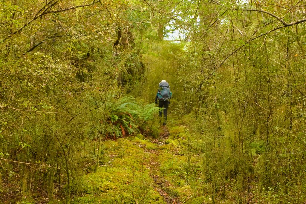 The track started rather nicely, but it was not to last..