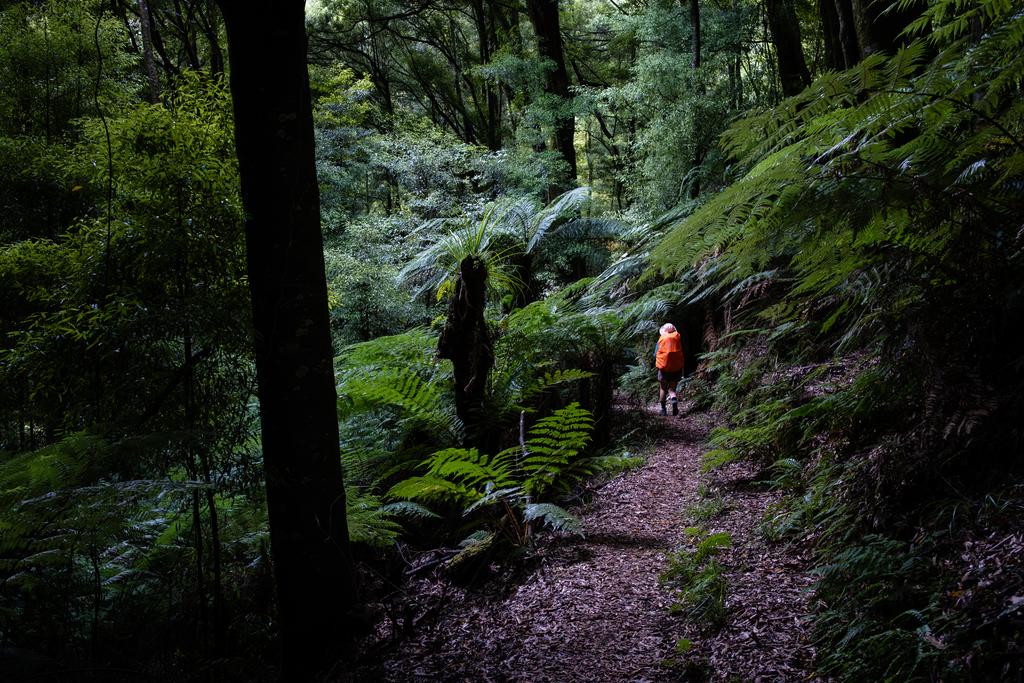 Trodding downhill. Legs and feet are tired.