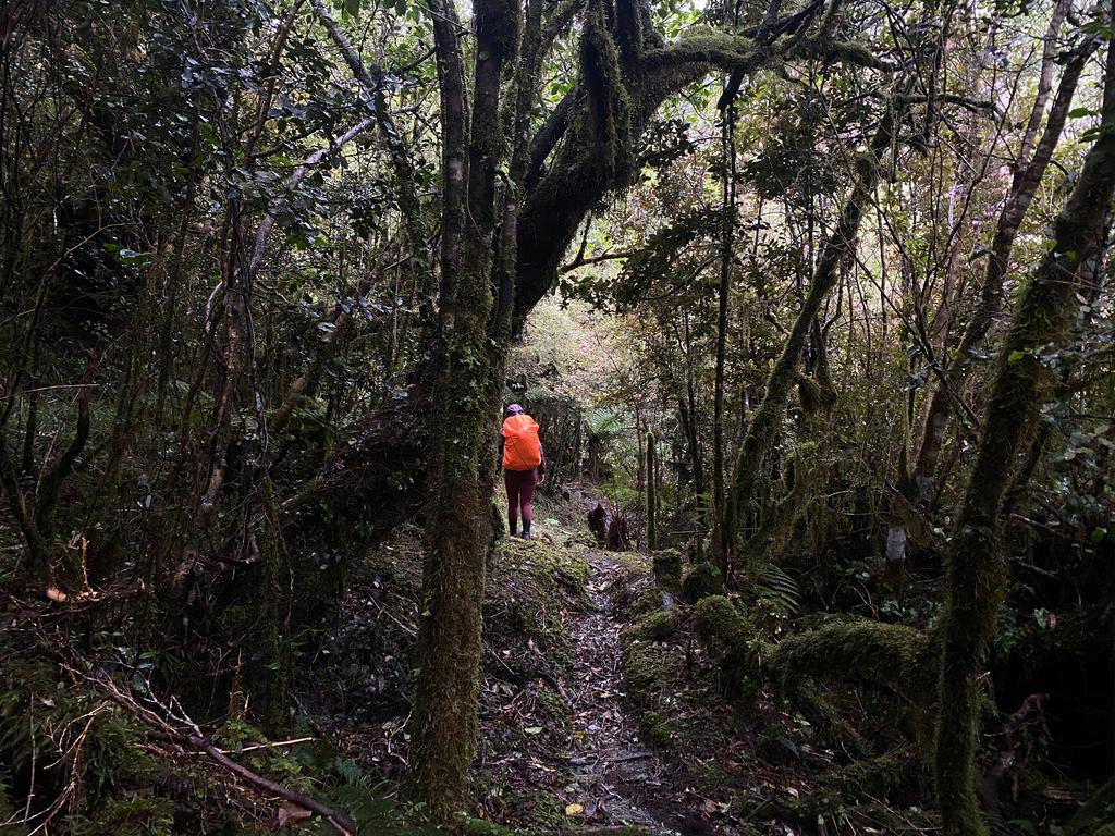 Some more gentle ascent near the hut.