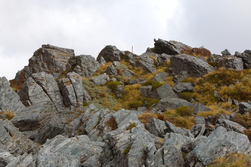 Schist (I think) near the summit of Mt O'Shanessy.