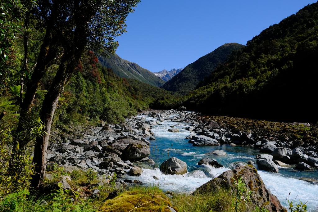 Stunning views and Southern Rata in bloom up the Taipo River.