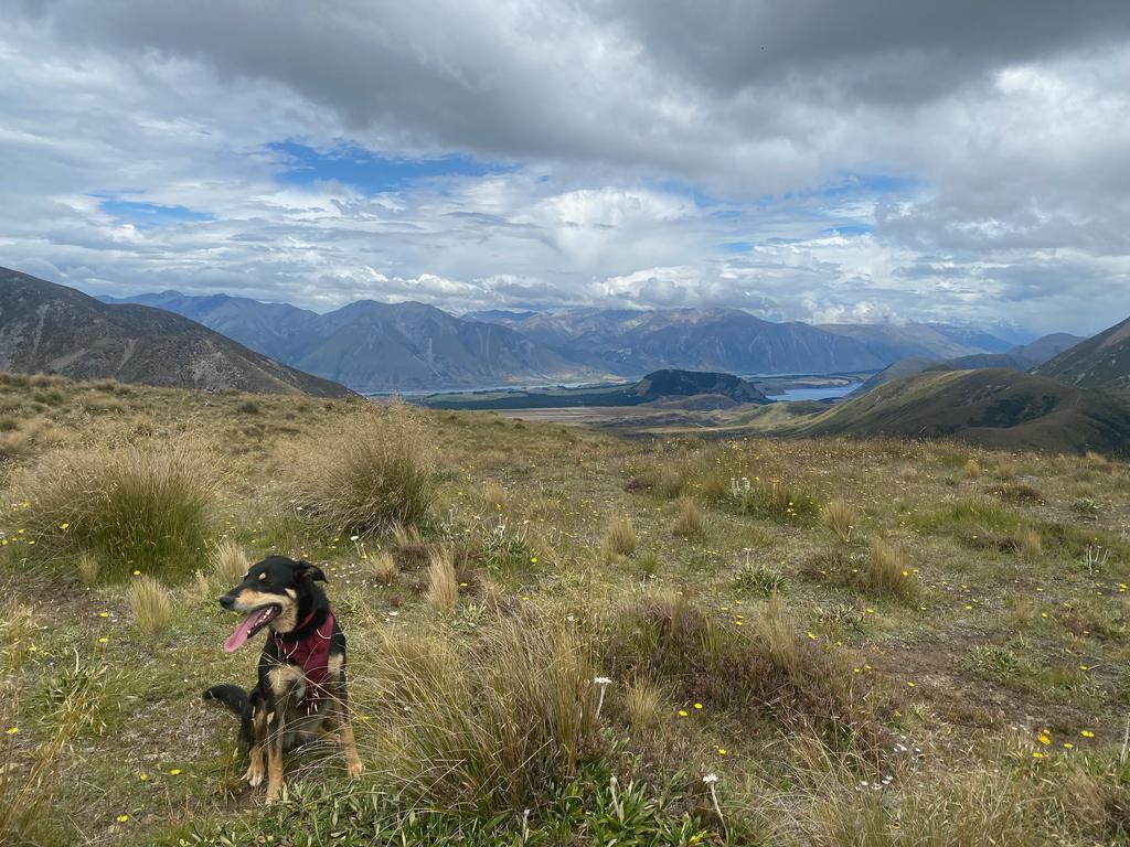 Korra at Rabbit Hill (no rabbits seen).
