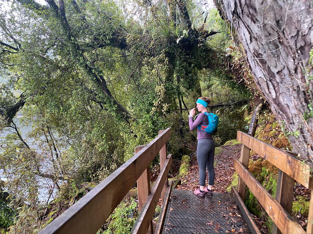 Love a good bridge, and a good view!