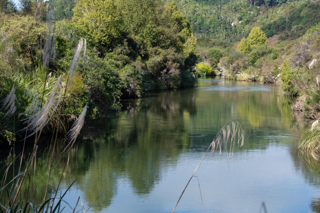 5 May, 2026 at 12:33pm
Looking down the Waihāhā not far from the start of the track.
📷 Finn Le Sueur
FUJIFILM X-S20
18-300mm F/3.5-6.3 DiIII-A VC VXD B061X
640
<span>%!s(float64=9) ISO<s/span> <span>f/45</span> <span>%!d(string=1/480)mm</span> <span>%!s(MISSING)s</span>